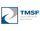 TMSF